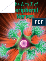 The A To Z of Peripheral Nerves