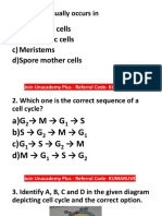 Cell Cycle BB