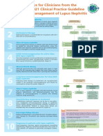 KDIGO GD Guideline Key Takeaways For Clinicians Lupus Nephritis