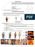 Posicion Anatomica