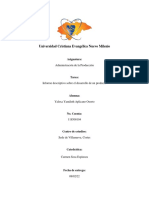 Informe Descriptivo Sobre El Desarrollo de Un Producto