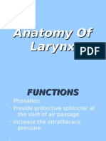 Anatomy of Larynx