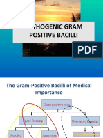 3.1. Gram Positive Rods-Bacillus