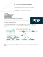 T1 La Actividad Economica PIAC - APUNTES