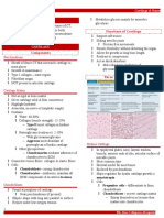 Histo Cartilage Bones