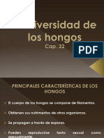 Cap. 22la Diversidad de Los Hongos