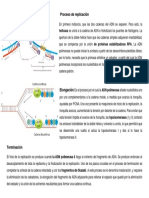 Proceso de Replicación