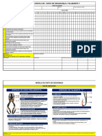 Check List NR 35 Cinto e Talabarte y