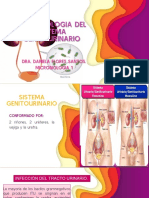 Bacteriologia Del Sistema Genitourinario