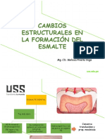 Defectos en La Formación Del Esmalte