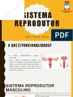 Sistema Reprodutor