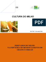 Milho Aula 01