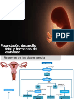 Desarroll Embrionario 7°