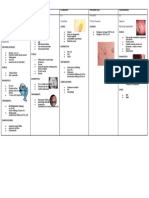 INFECCIONES GIN-WPS Office