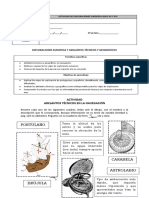 Actividad de Exploraciones Europeas