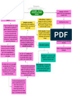 Fluxograma - Registro Genealógico