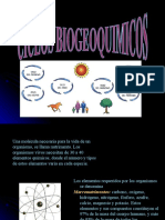 Ciclos Biogeoquimicos