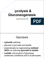 Unit 2 - Carbohydrates Part 2