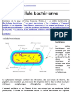 Bac Terie