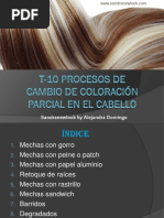 T 10 Procesos de Cambio de Coloración Parcial en El Cabello