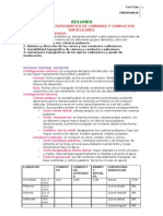 ENDODONCIA Anatomia Topografica