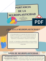 Importancia de La Neuroplasticidad