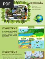 Ecologia (Clase 3), 01-09-20.