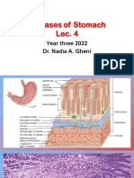 Stomach Pathology