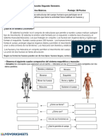 Sistema Locomotor