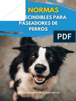 15 Normas Imprescindibles para Paseadores de Perros