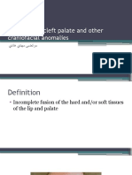 Cleft Lip and Cleft Palate and Other Craniofacial