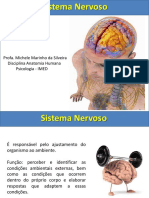 Aula 5. Sistema Nervoso