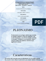 Diapositivas de Pleonasmo 133323