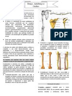 APG Ombro Braço e Antebraço