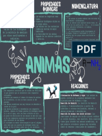 Mapa Conceptual ANIMAS