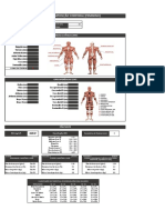 PLANILHA Composição Corporal MULHER