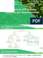 Síntesis de ATP y Poder Reductor Por Fotoautótrofos