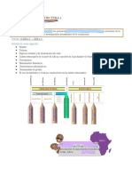 Civilización y Arquitcetura Apuntes