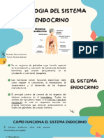 Fisiologia Del Sistema Endocrino Carolina Ricardez