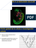 Clase 01. Introducción