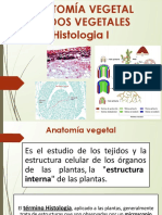 HISTOLOGIA I Meristematico - Epidermico - Parenquimatico - Sosten