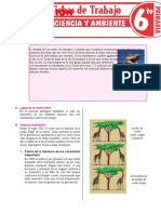 La Evolución para Sexto Grado de Primaria