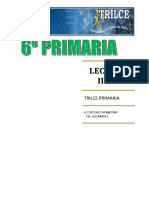 Lectura III Bim