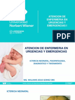 Ictericia Neonatal Teoria