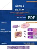 Repaso Teoría-Práctica Histología 2022 2