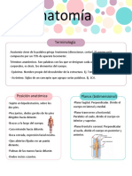 Anatomia Temas 1 2 y 3