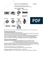 MG 21 - Pa Tho Physiology of Cancer