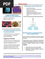 Norovirus (Grupo 2)