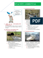 Ciencia y Tecnología Novena Clase - (Contaminación)