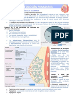 Patología de La Glándula Mamaria